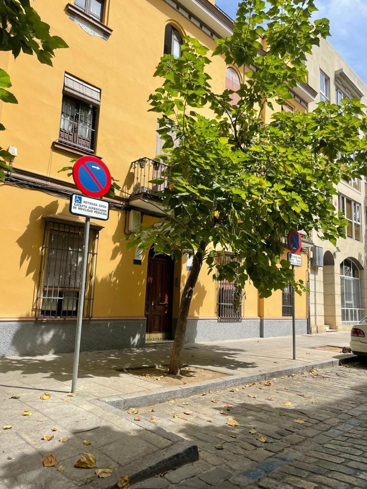 Apartamento Entero En Los Jardines De Murillo Севилья Экстерьер фото